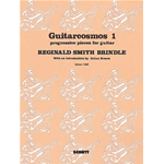 SMITH BRINDLE GUITARCOSMOS 1